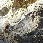 La Dimora Di Dioniso